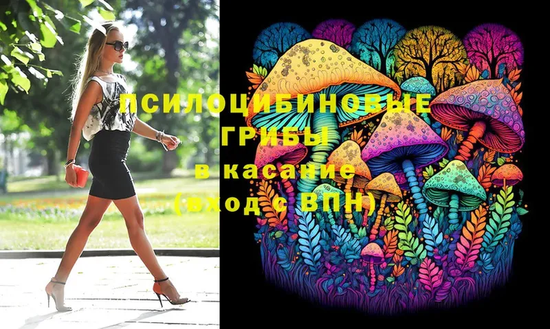 omg ССЫЛКА  Галич  Псилоцибиновые грибы Cubensis 